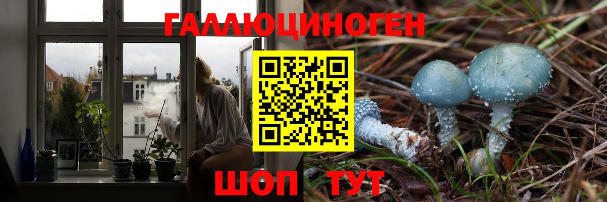 Жигулёвск  Галлюциногенные грибы Magic Shrooms  Вход с VPN 